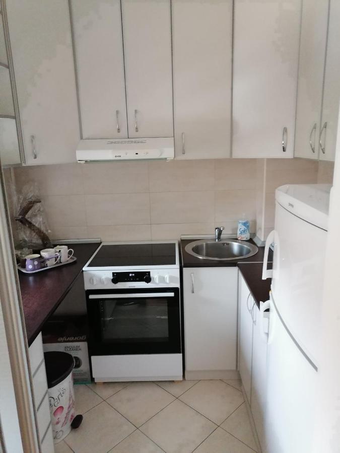 Paris Apartment -Free Private Parking โนวีซาด ภายนอก รูปภาพ